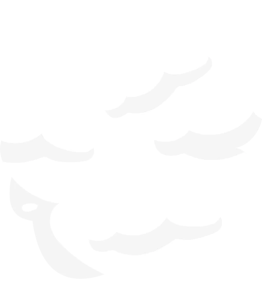 ONE PIECE DAY | ワンピースデイ 公式サイト